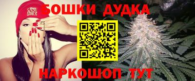 прущие крисы Изобильный