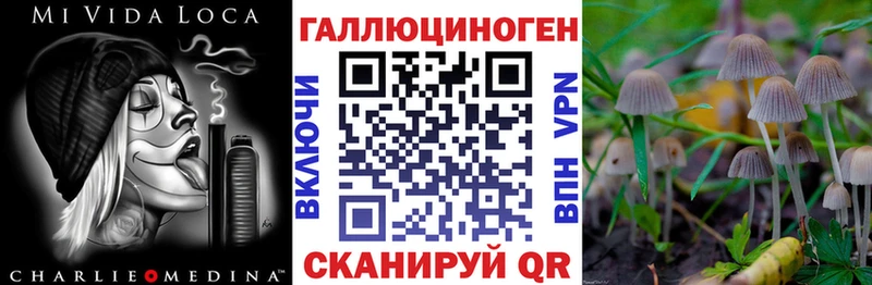Псилоцибиновые грибы прущие грибы  Курчалой 