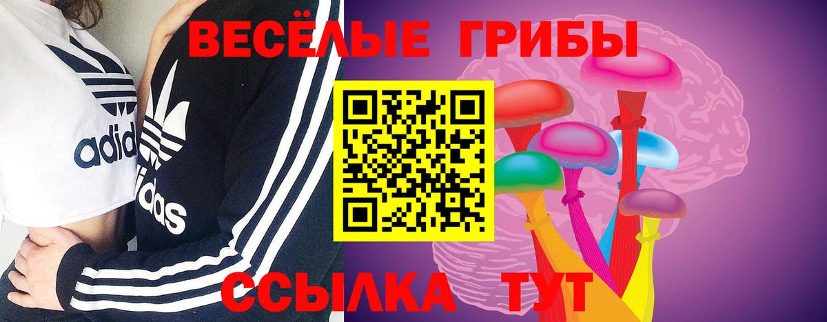 Курчалой  Вход с VPN  Гашиш  Канабис  Кокаин  Меф   Мефедрон 