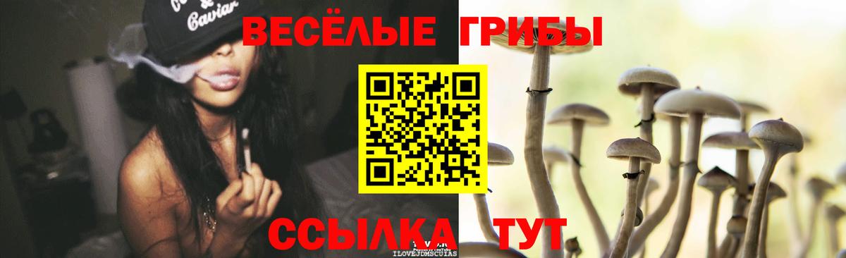 Галлюциногенные грибы Cubensis  Вход с VPN  Курчалой 